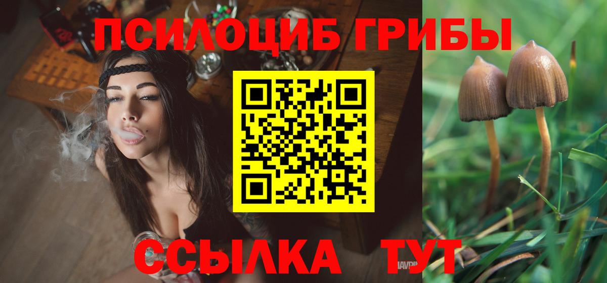Псилоцибиновые грибы мицелий  как найти   Вход с VPN  Каменск-Уральский  Псилоцибиновые грибы Magic Shrooms 