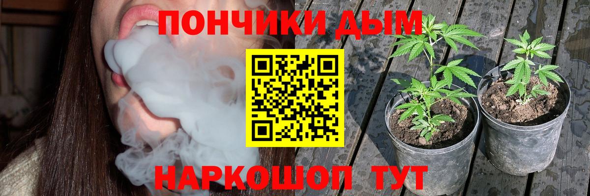 Канабис сатива Каменск-Уральский